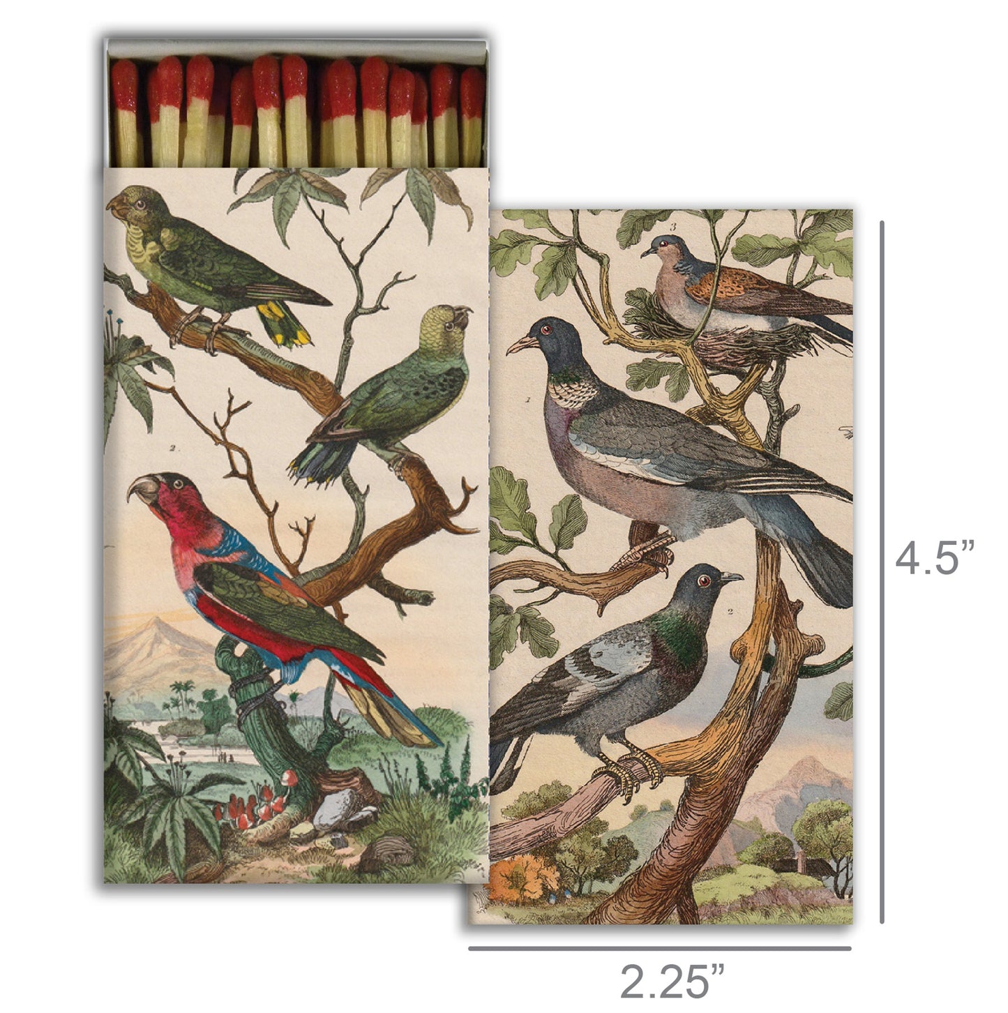 Decorative Matchbox - Pigeons & Parakeets