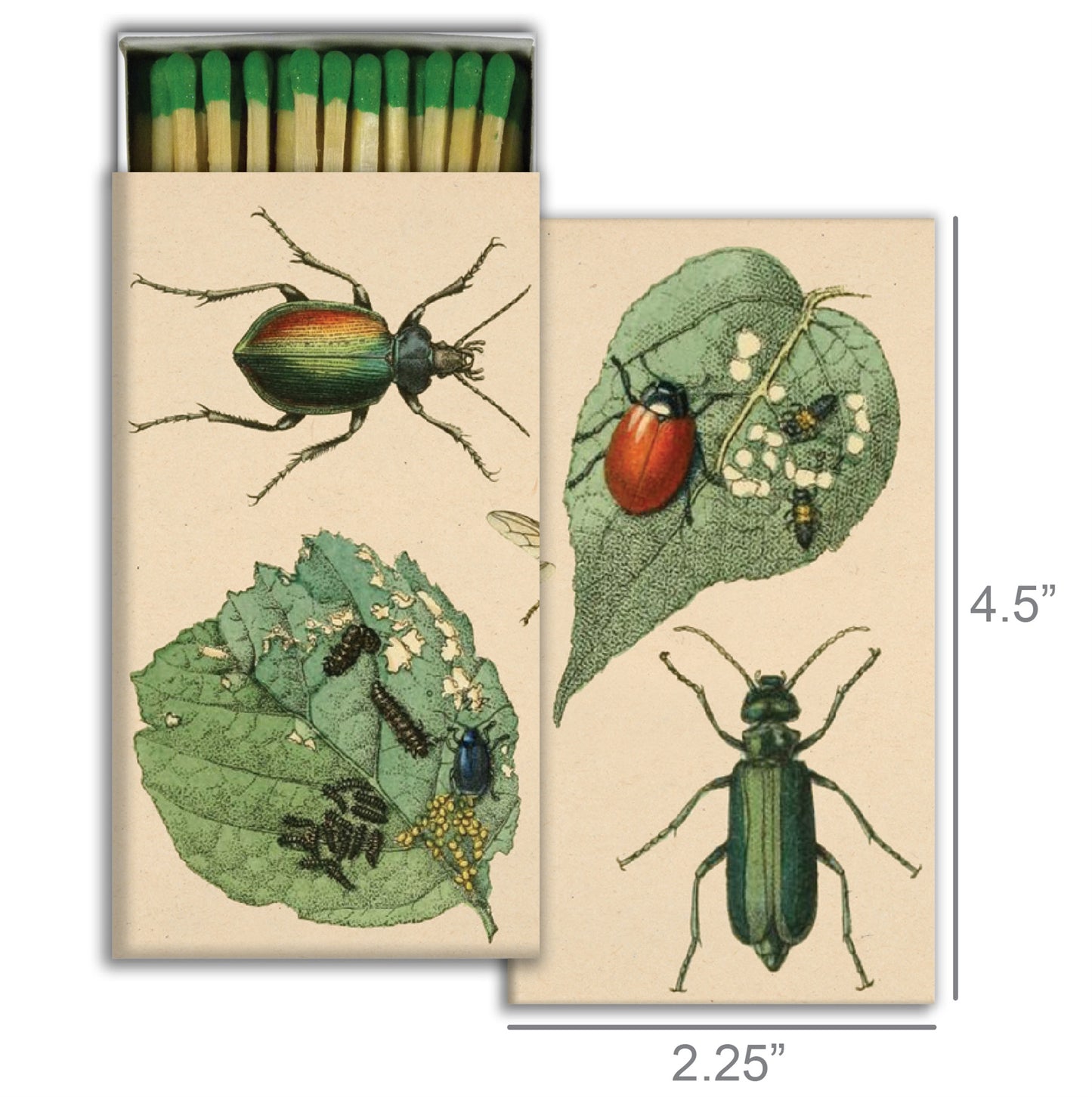 Decorative Matchbox - Munching Insects