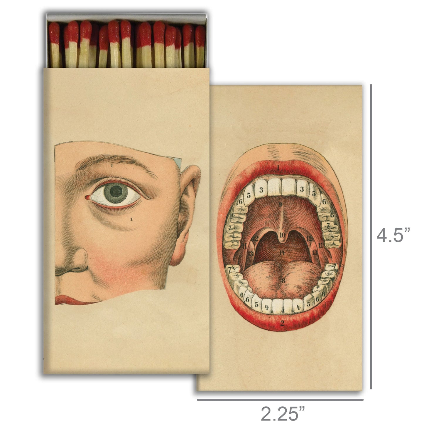 Decorative Matchbox - Strength