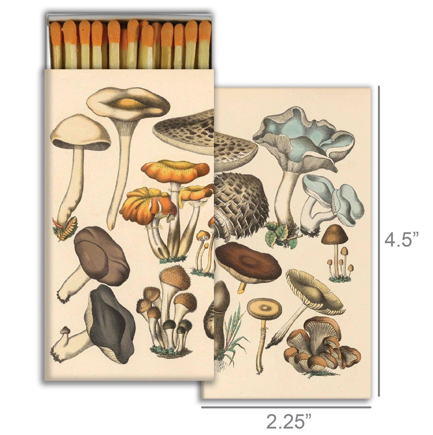 Decorative Matchbox - Foraged Mushrooms