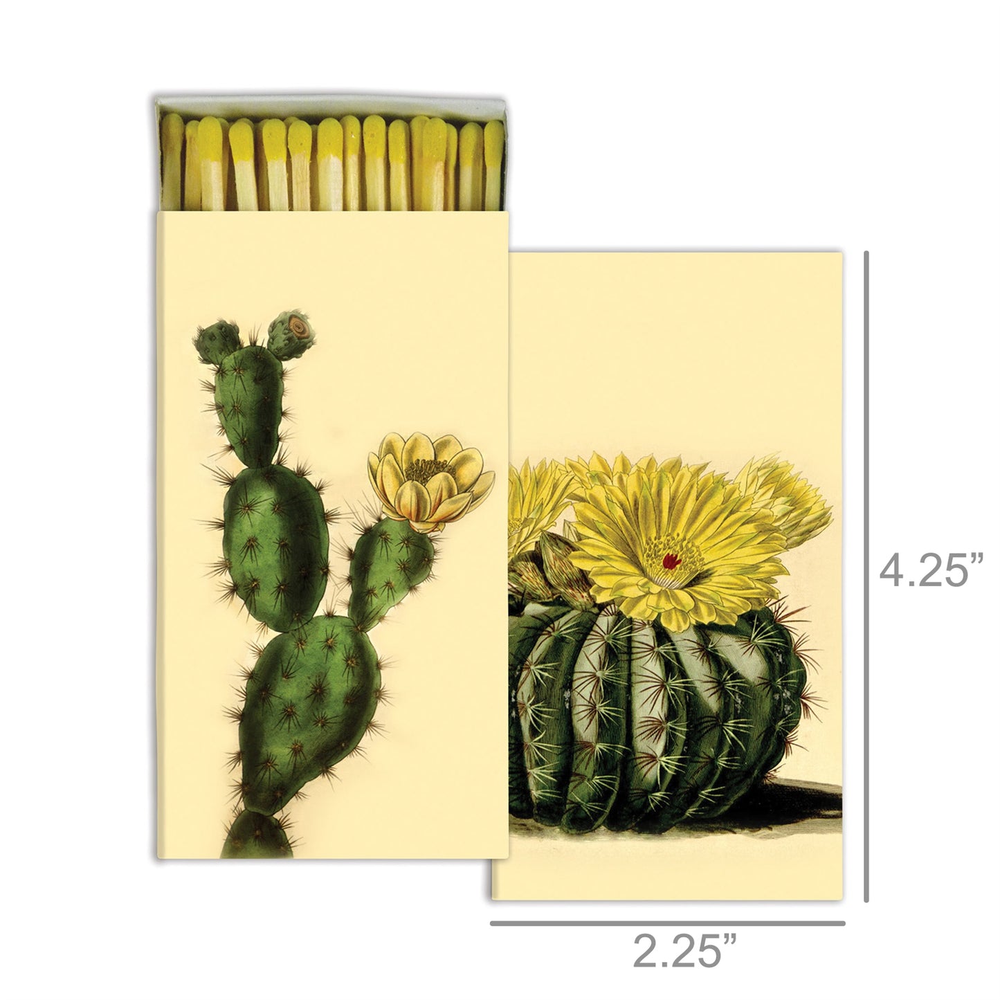 Decorative Matchbox - Cacti