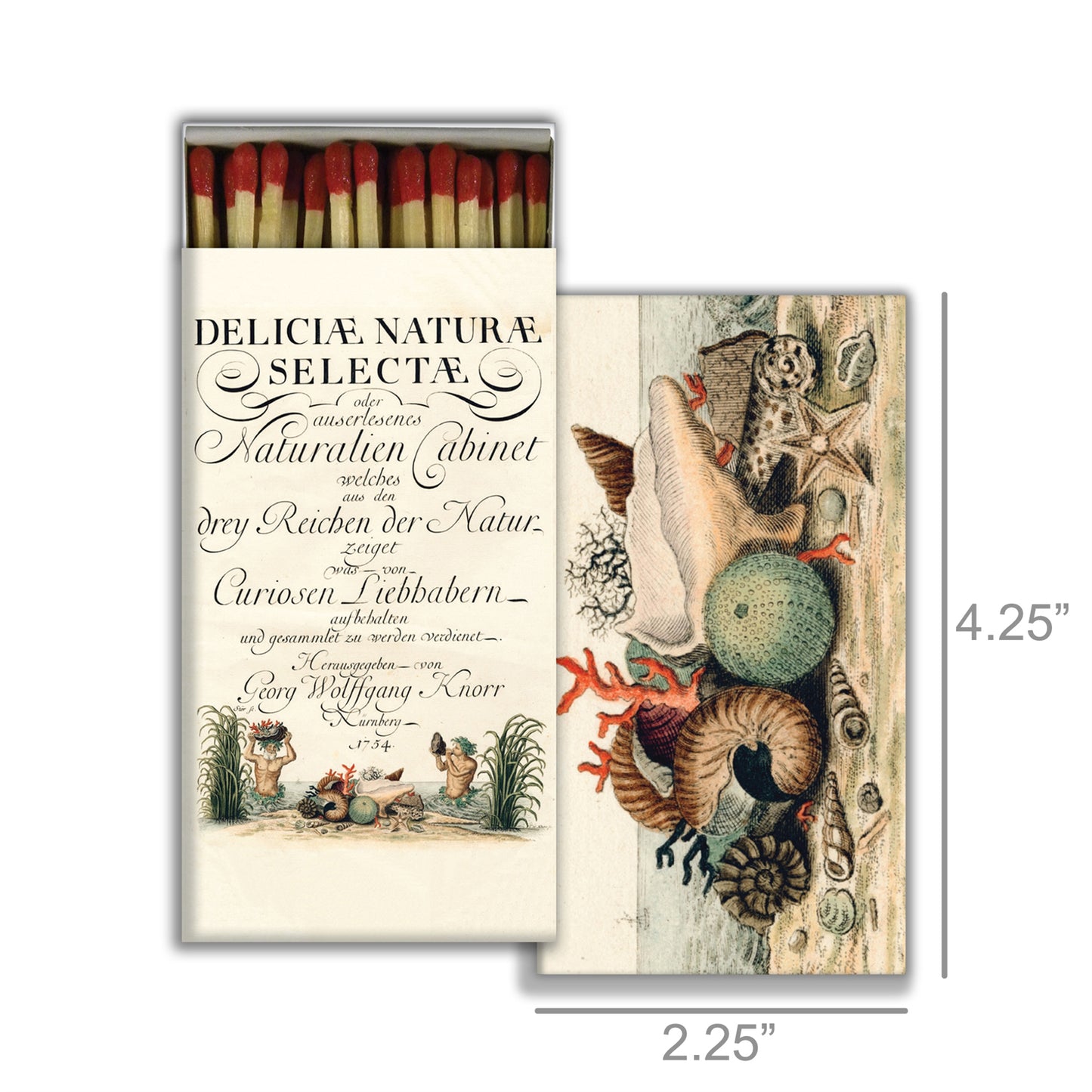Decorative Matchbox - Shells 1775