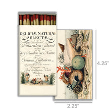 Load image into Gallery viewer, Shells 1775