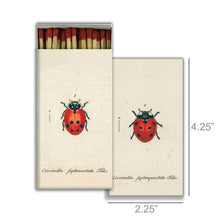 Load image into Gallery viewer, Lady Bug
