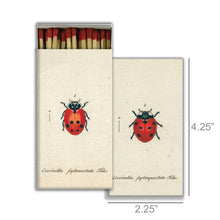 Load image into Gallery viewer, Lady Bug