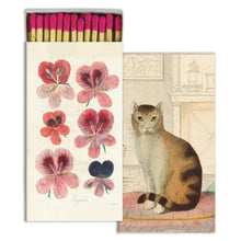 Load image into Gallery viewer, Pelargonium & Cat
