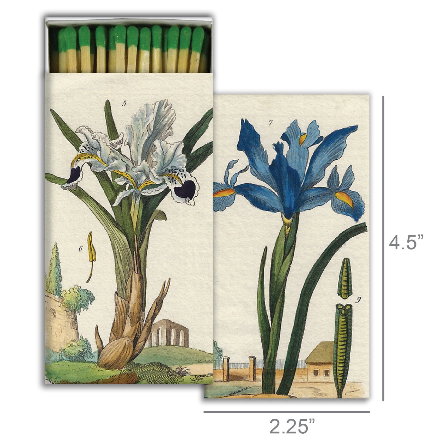 Decorative Matchbox - Iris