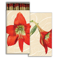 Load image into Gallery viewer, Amaryllis