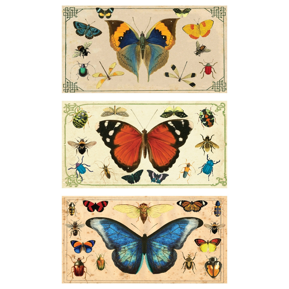 Decorative Matchbox - Blue Butterfly Insects