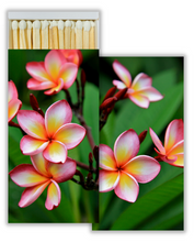Load image into Gallery viewer, Plumeria