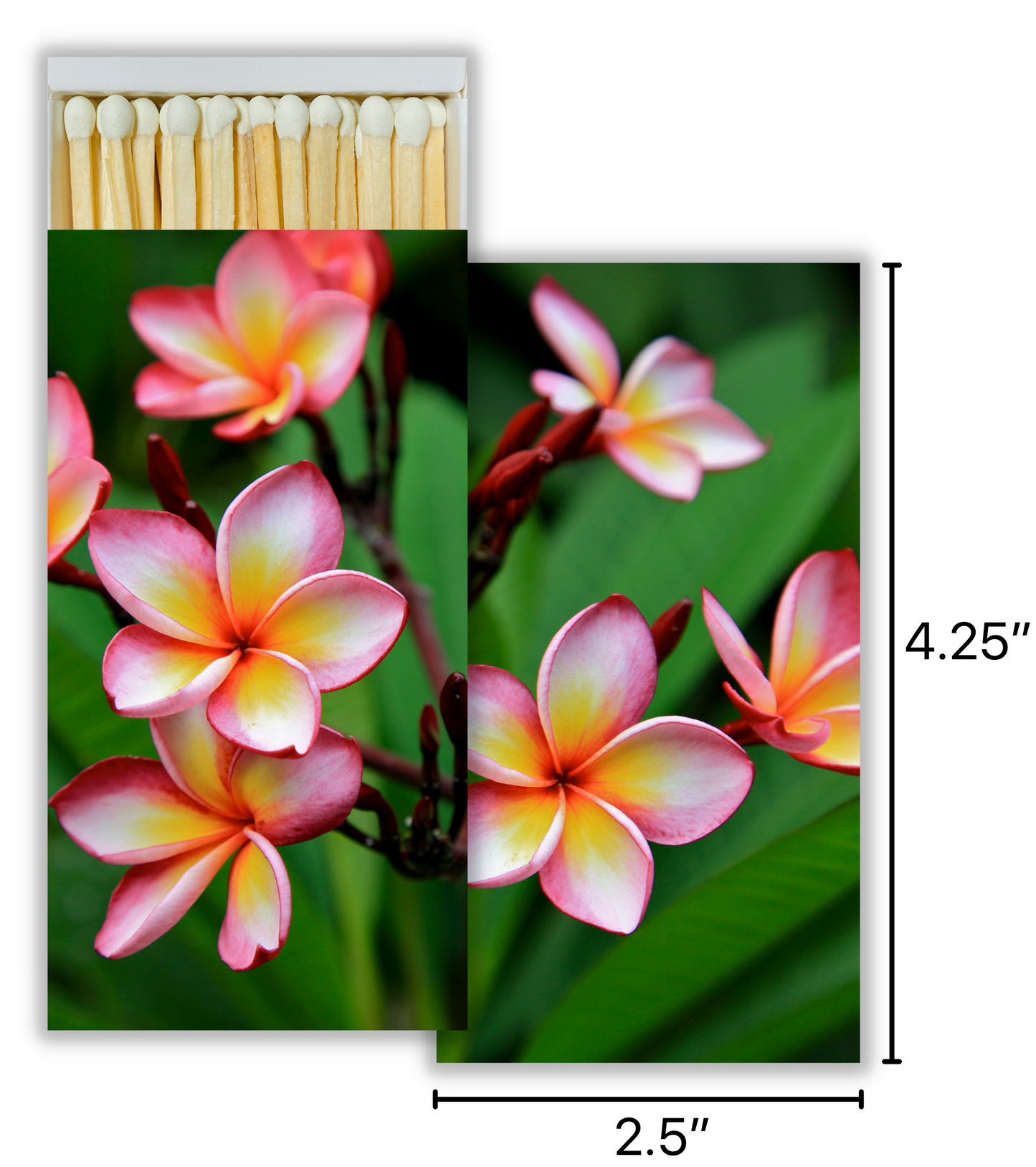 Decorative Matchbox - Plumeria