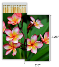 Load image into Gallery viewer, Plumeria