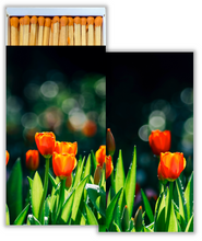 Load image into Gallery viewer, Tulips