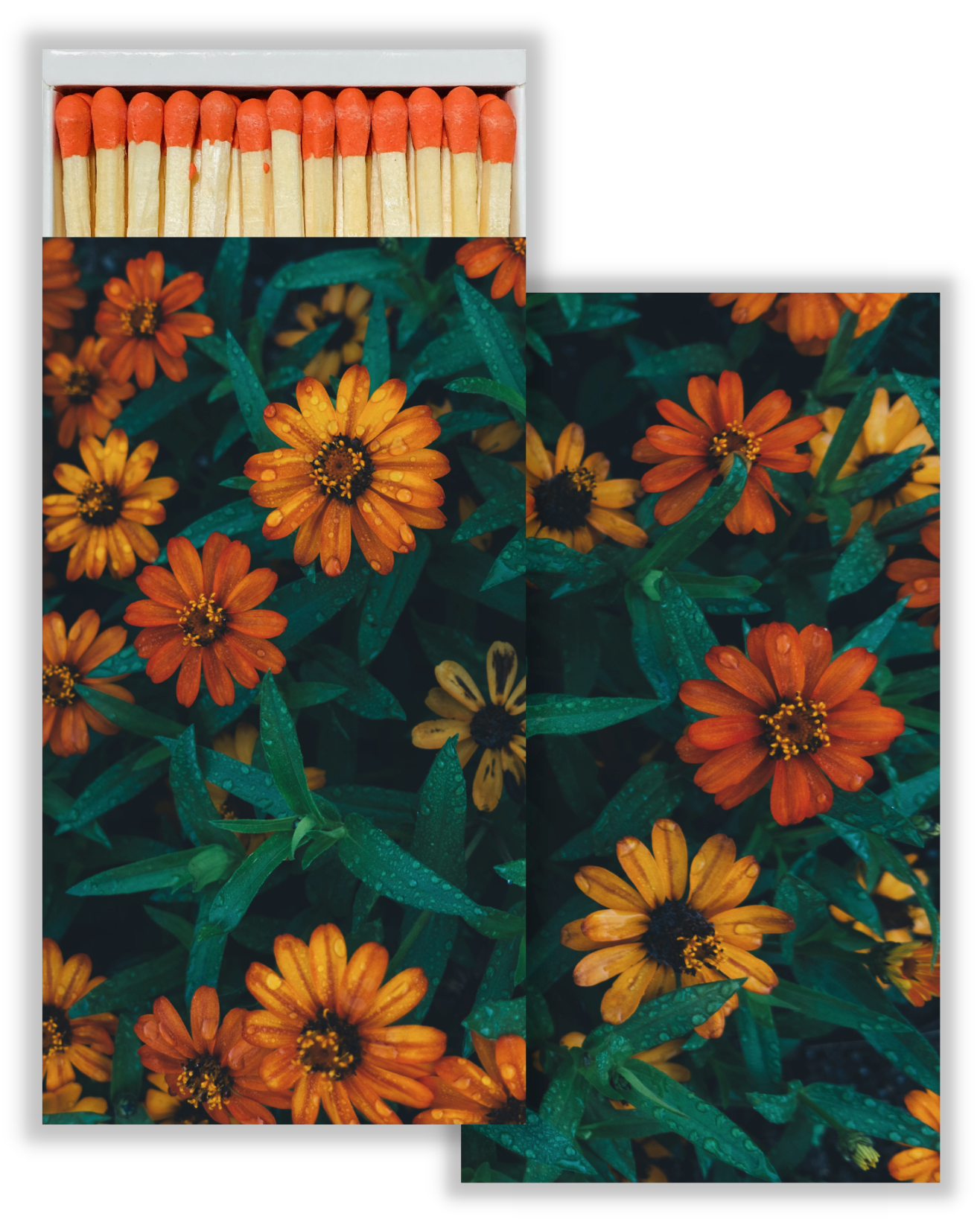 Decorative Matchbox - Creeping Zinnias