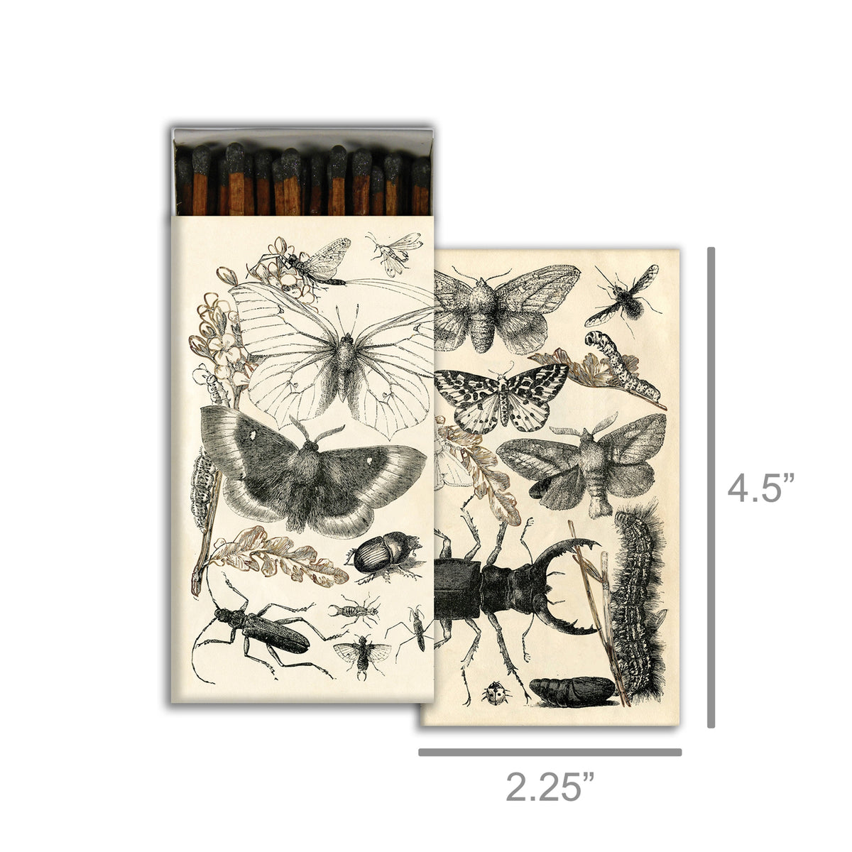 Halloween Matchbox Gift Set – 4-Pack