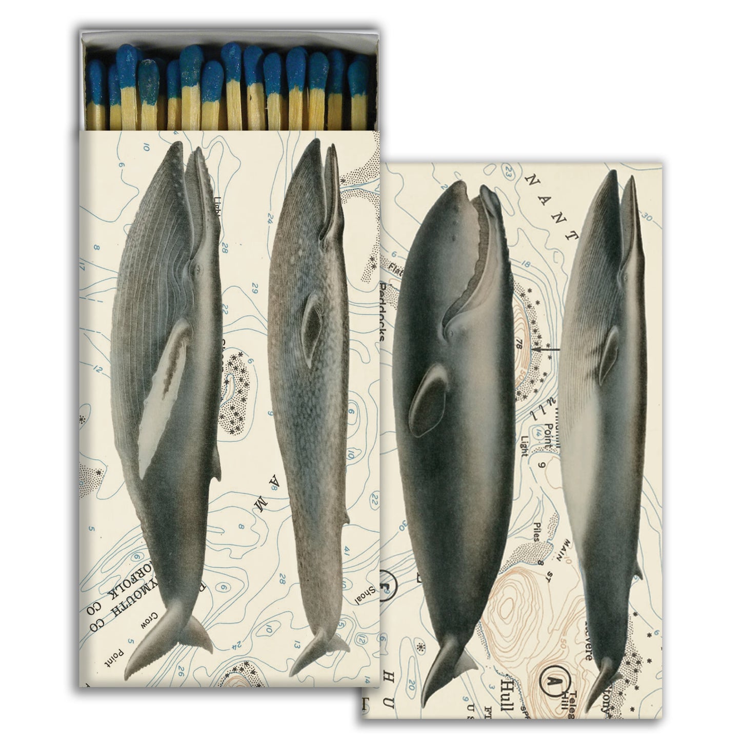 Decorative Matchbox - Whales