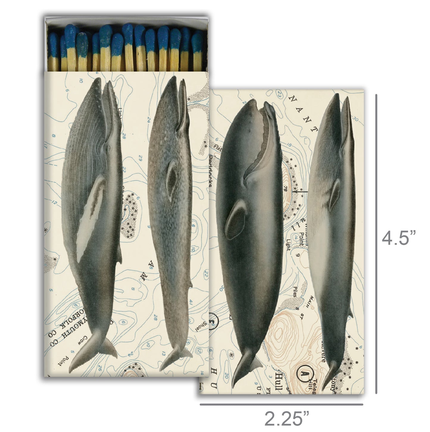 Decorative Matchbox - Whales