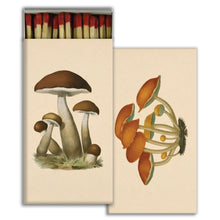 Load image into Gallery viewer, Mushrooms
