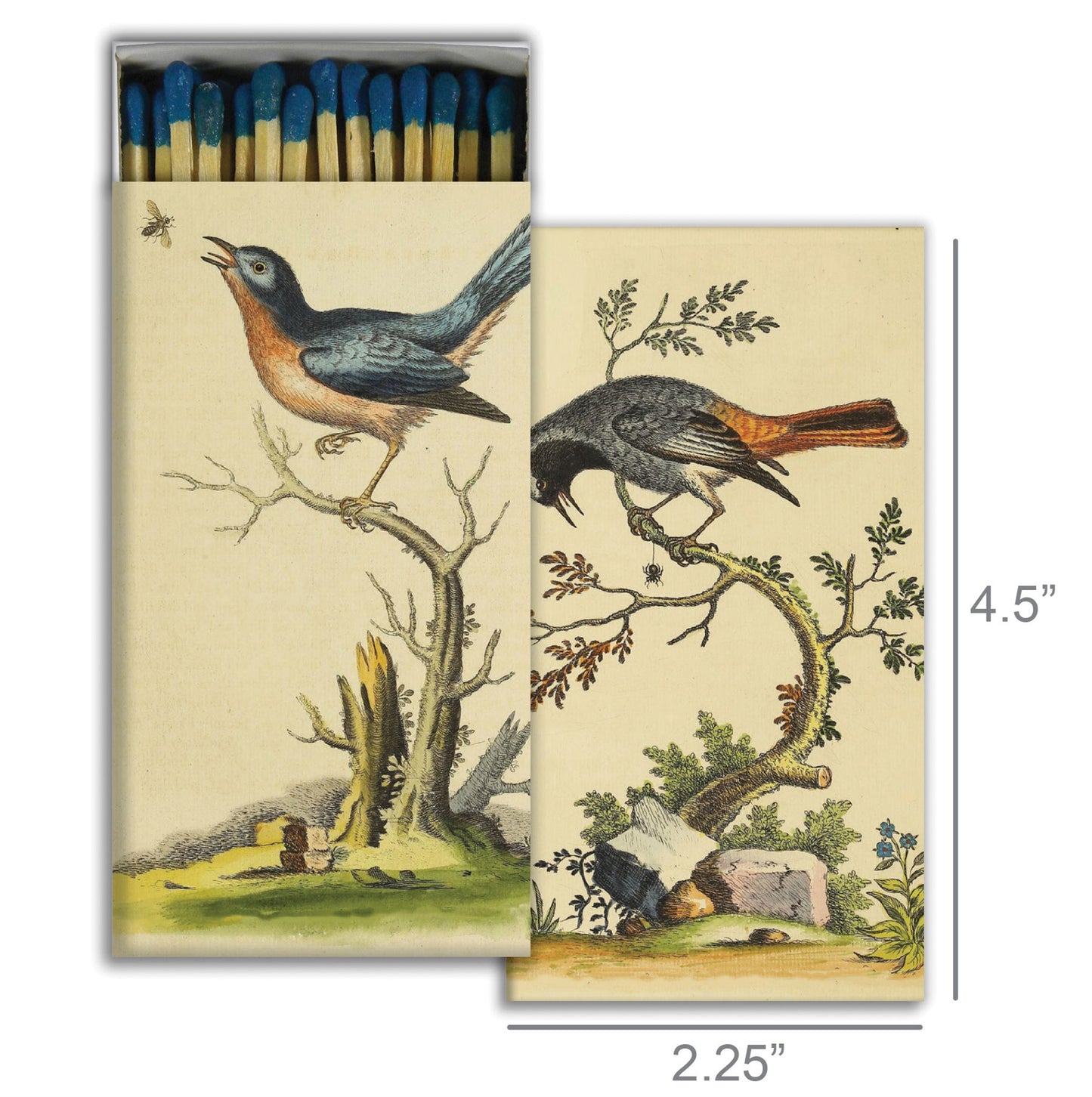 Decorative Matchbox - Warwick Birds