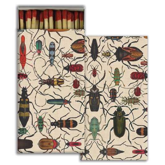 Decorative Matchbox - Mixed Beetles