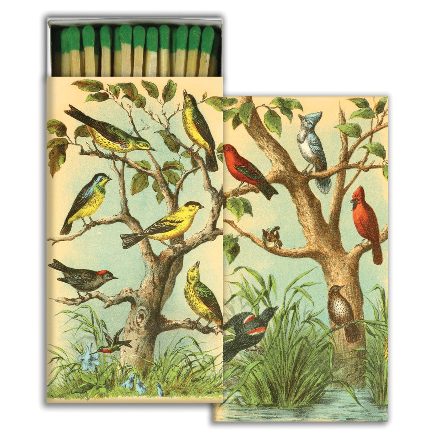 Decorative Matchbox - Bird Studies