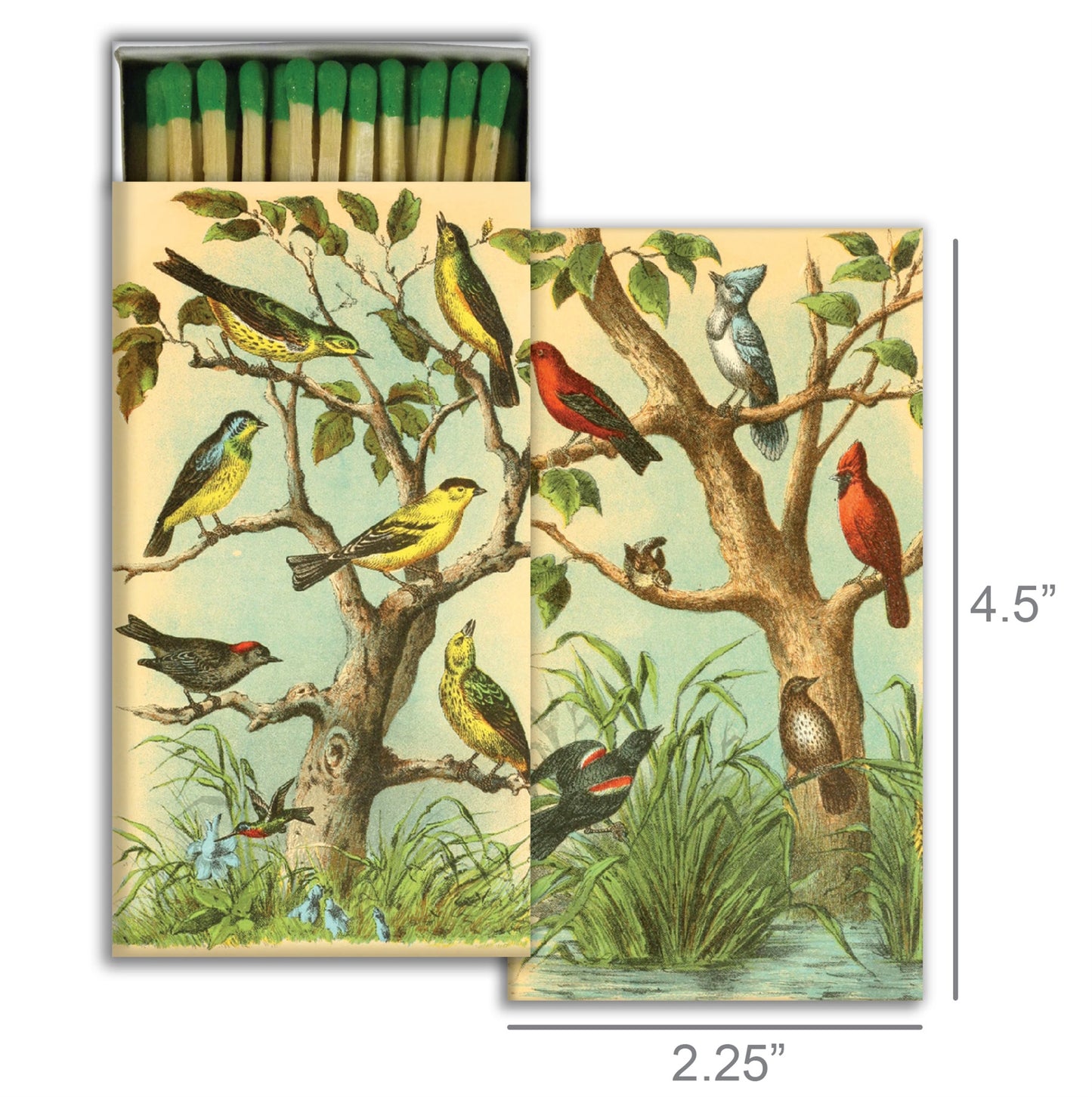 Decorative Matchbox - Bird Studies