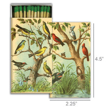 Load image into Gallery viewer, Bird Studies
