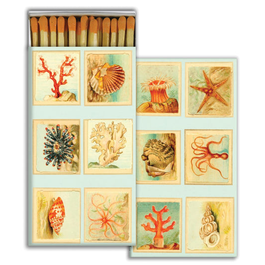 Decorative Matchbox - Mollusks, Coral, Seastars
