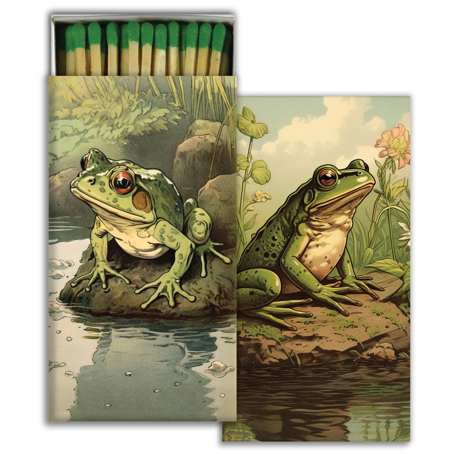 Decorative Matchbox - Vibrant Toads