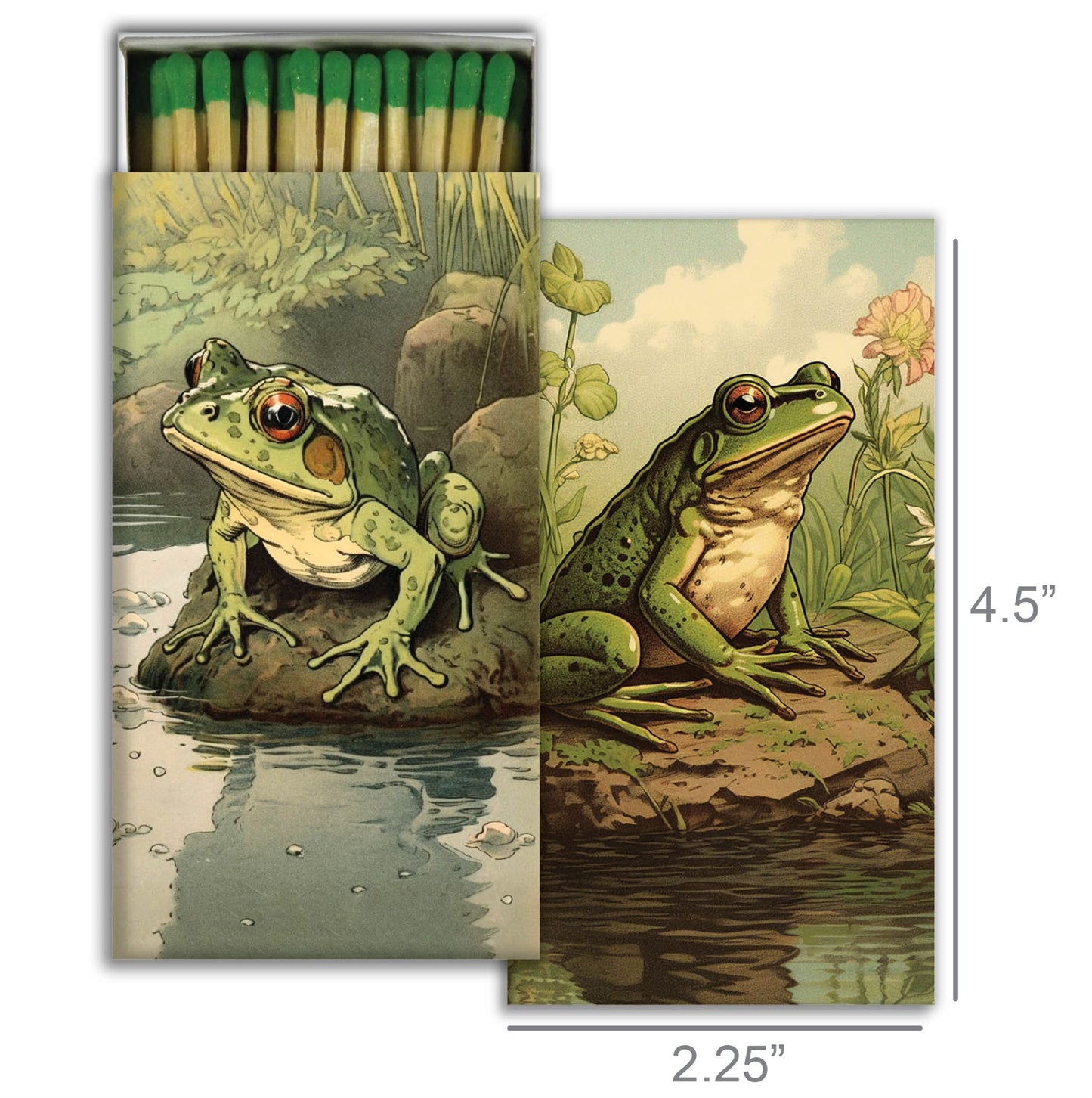 Decorative Matchbox - Vibrant Toads