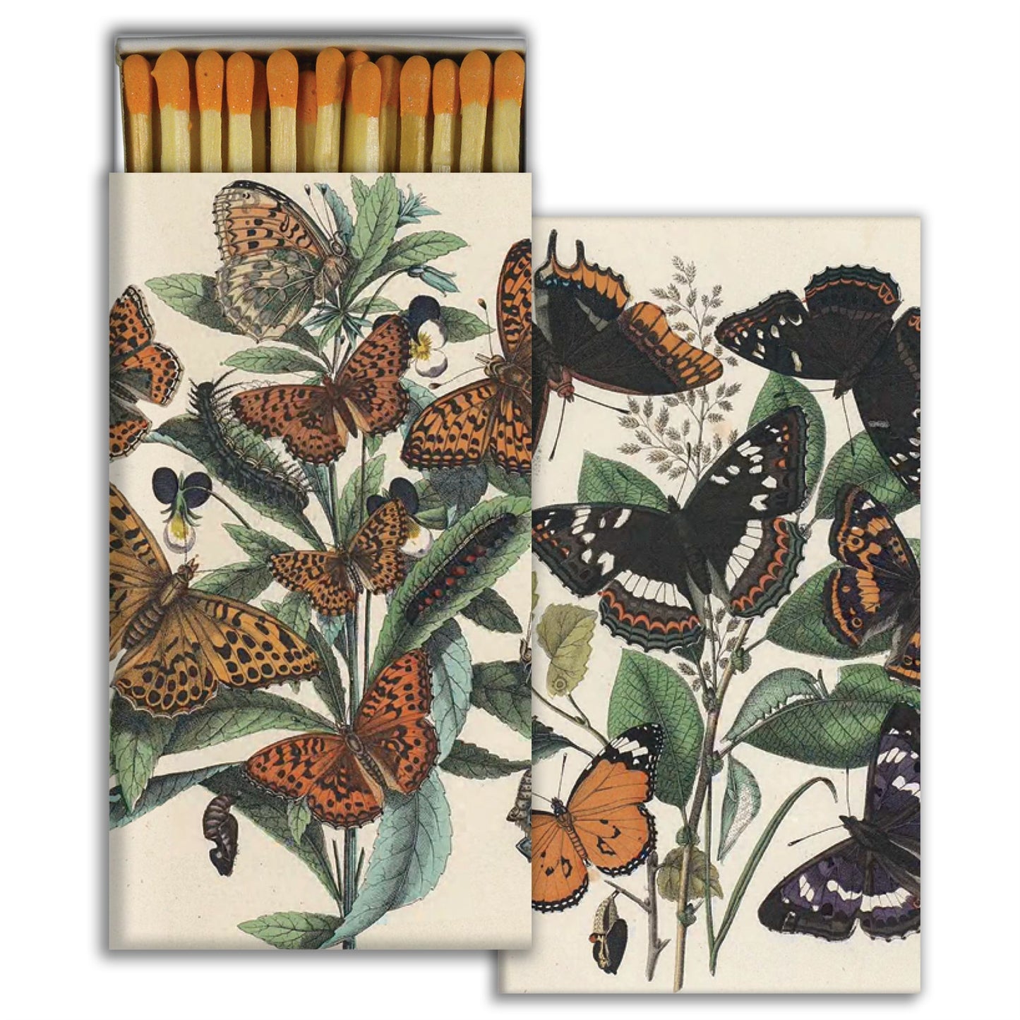 Decorative Matchbox - Monarchs