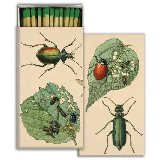 Decorative Matchbox - Munching Insects