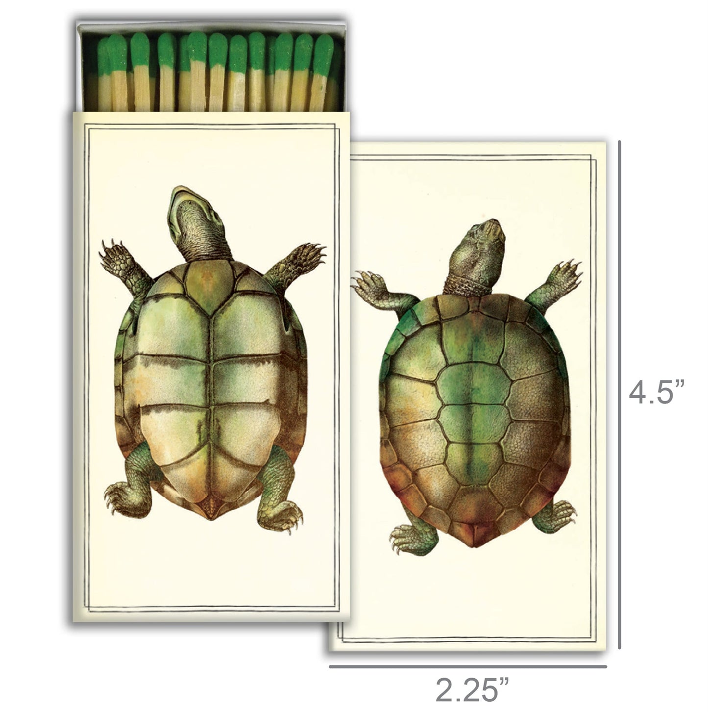 Decorative Matchbox - Turtles