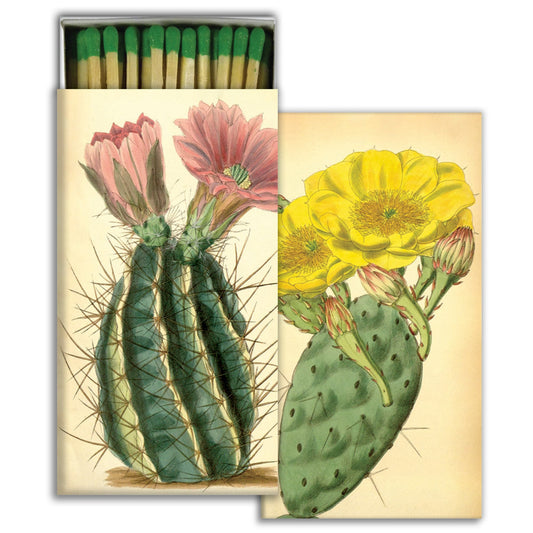 Decorative Matchbox - Flowering Cacti