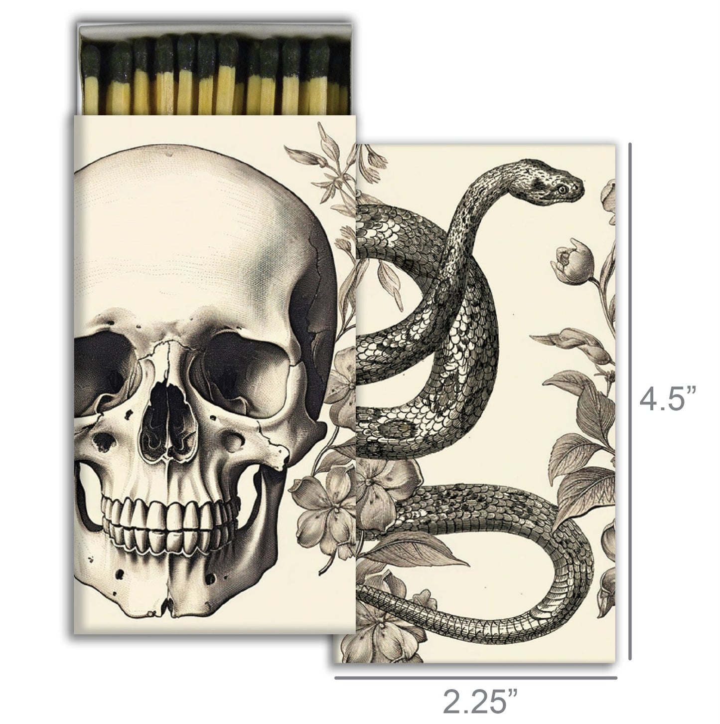 Decorative Matchbox - Skull & Snake