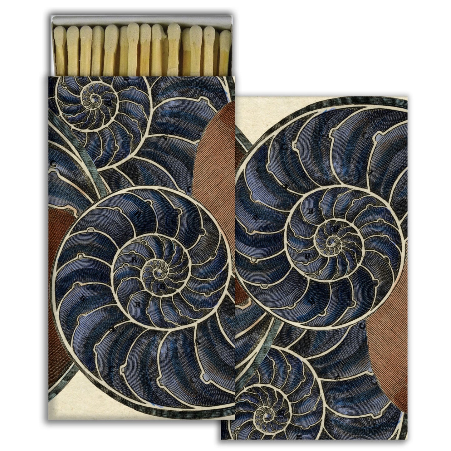 Decorative Matchbox - Nautilus
