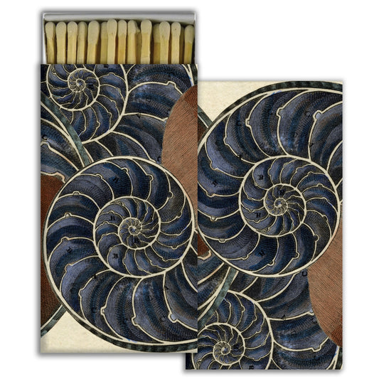 Decorative Matchbox - Nautilus