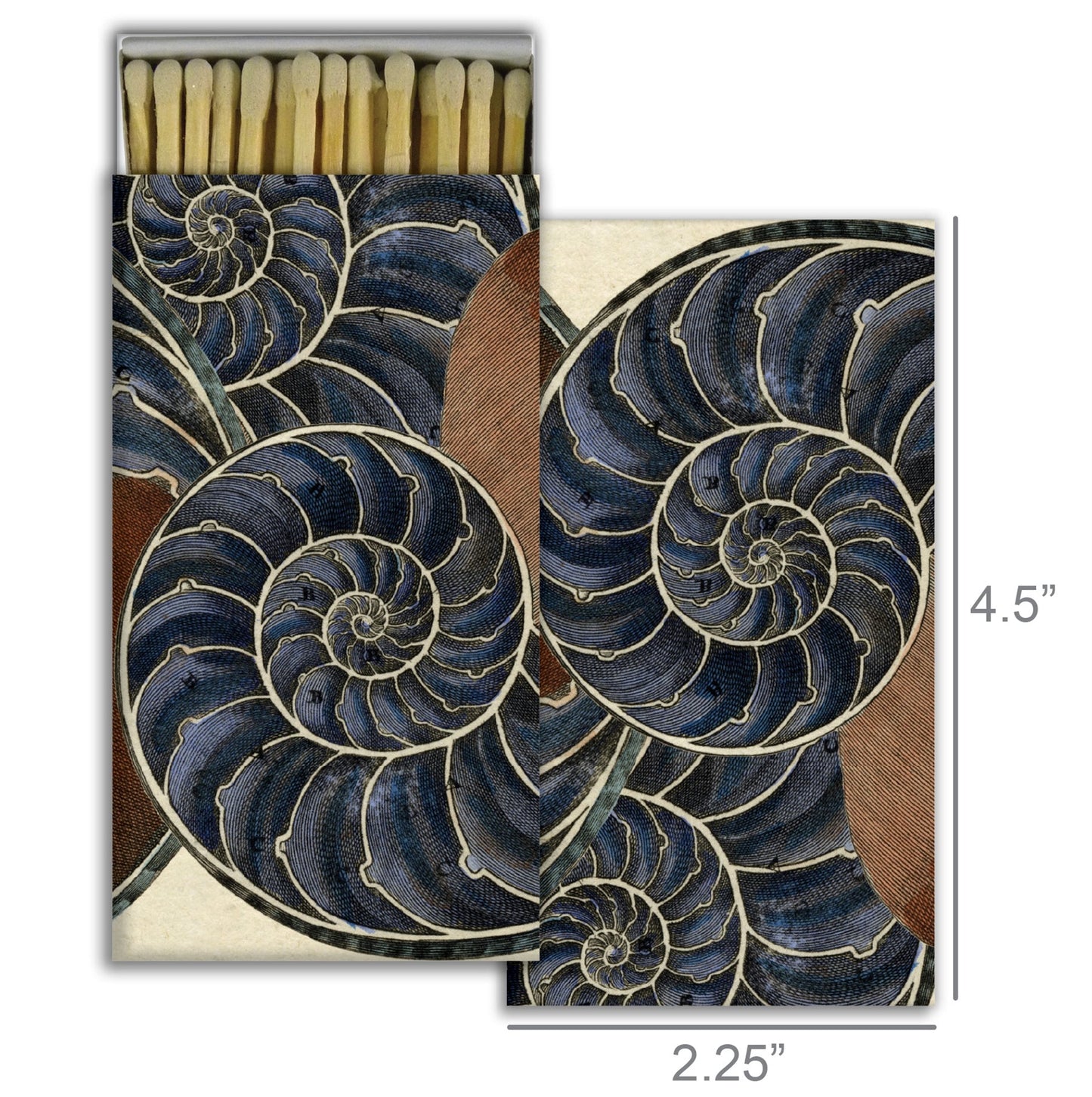 Decorative Matchbox - Nautilus