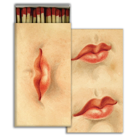 Decorative Matchbox - Nautilus