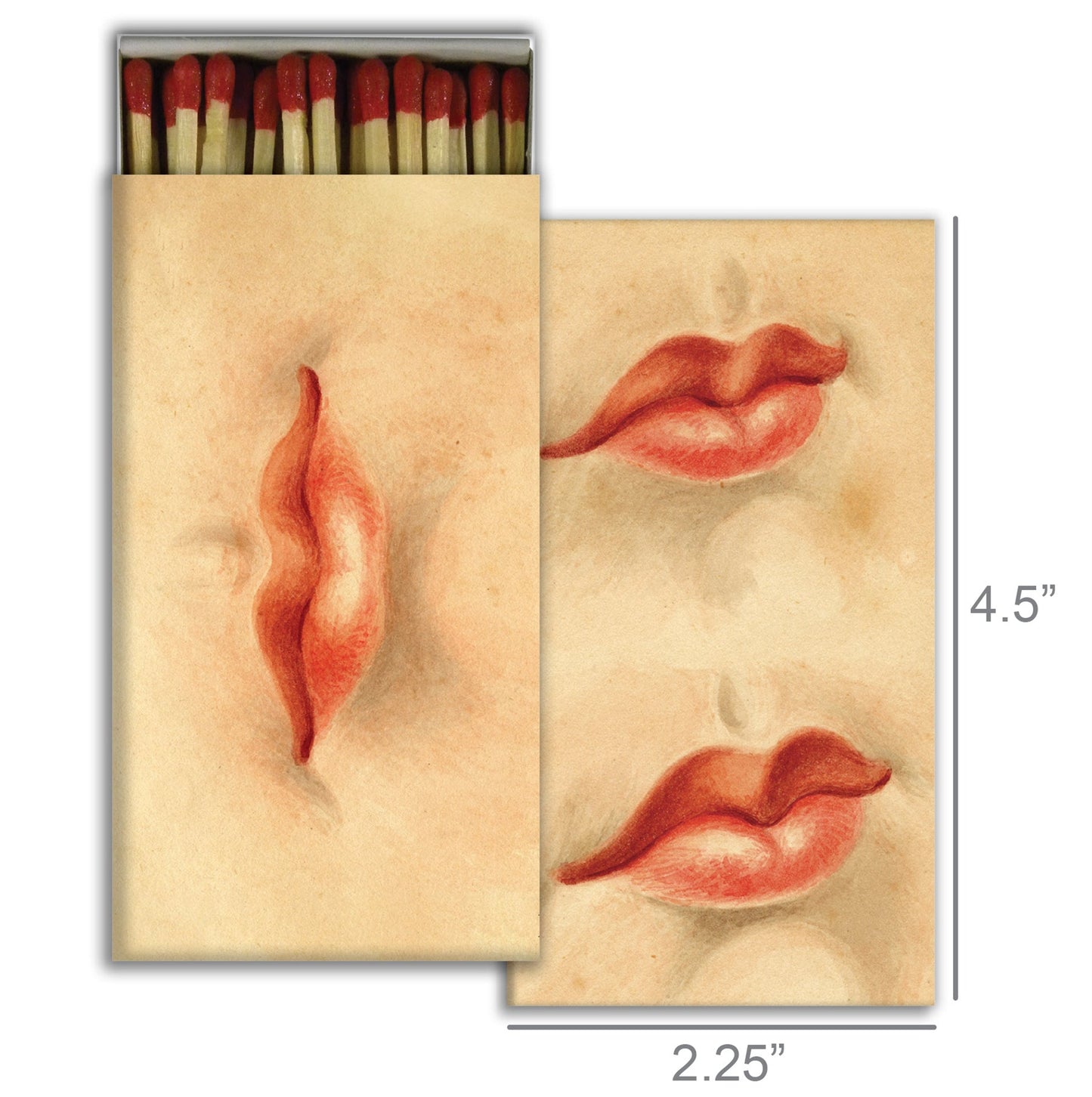 Decorative Matchbox - Nautilus