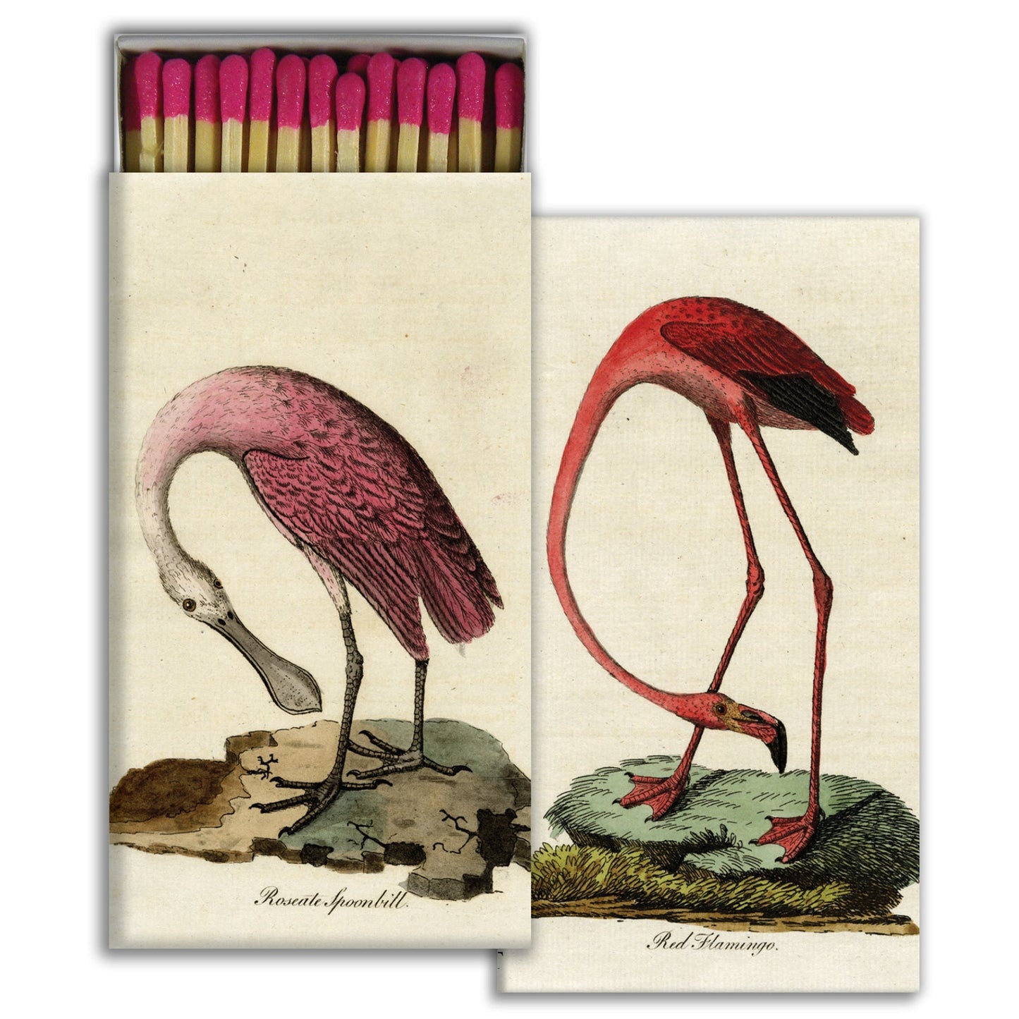Decorative Matchbox - Flamingo & Spoonbill
