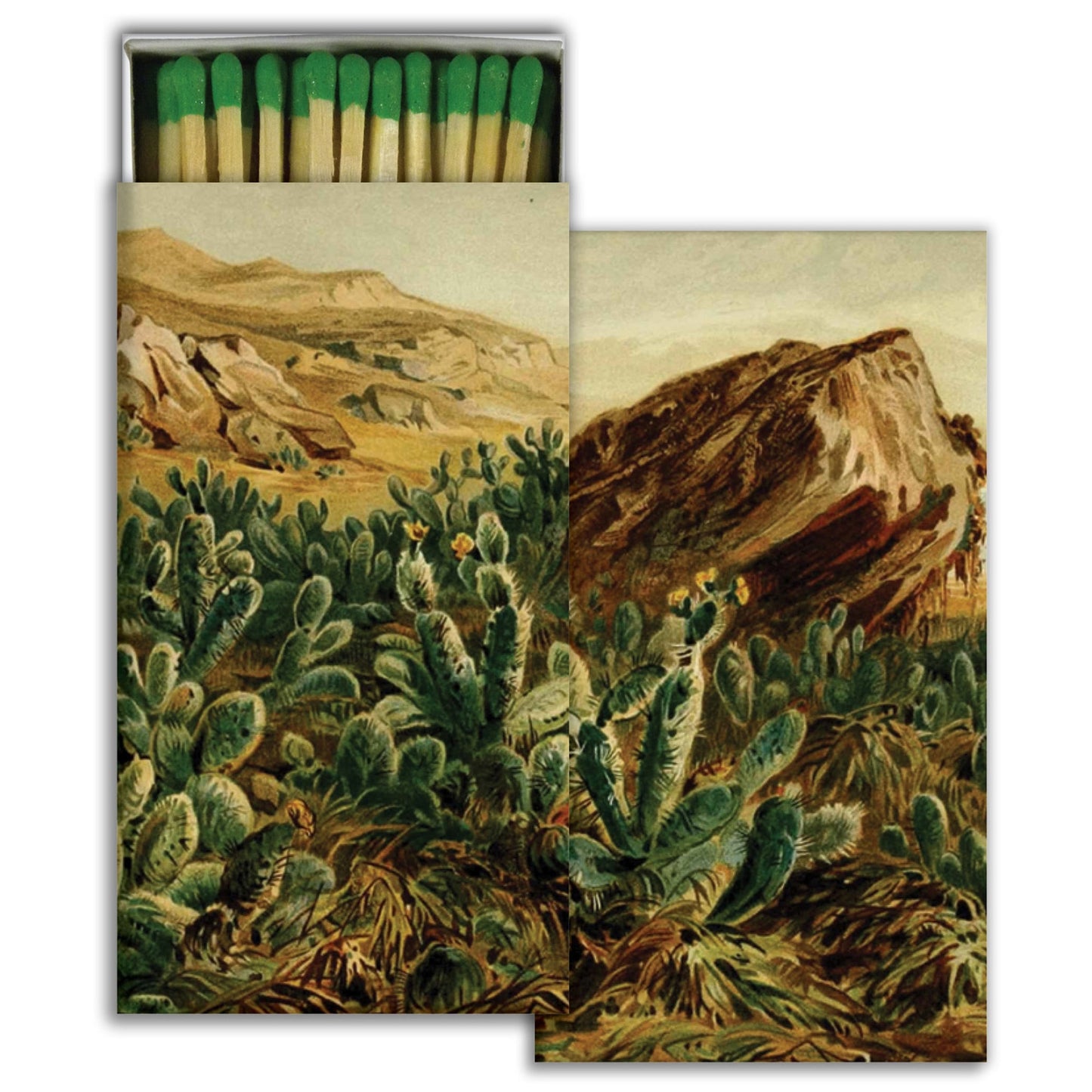 Decorative Matchbox - Prickly Pear Cactus