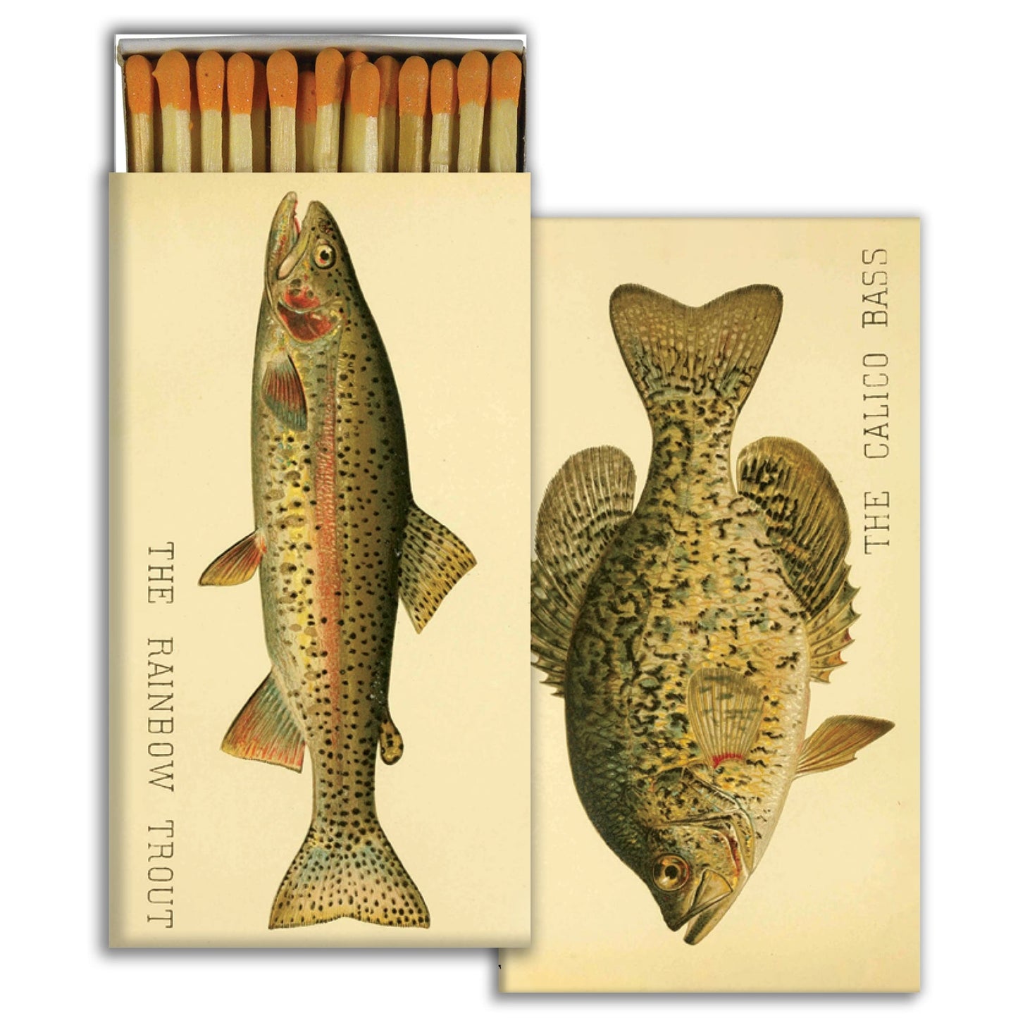 Decorative Matchbox - Lake Fish