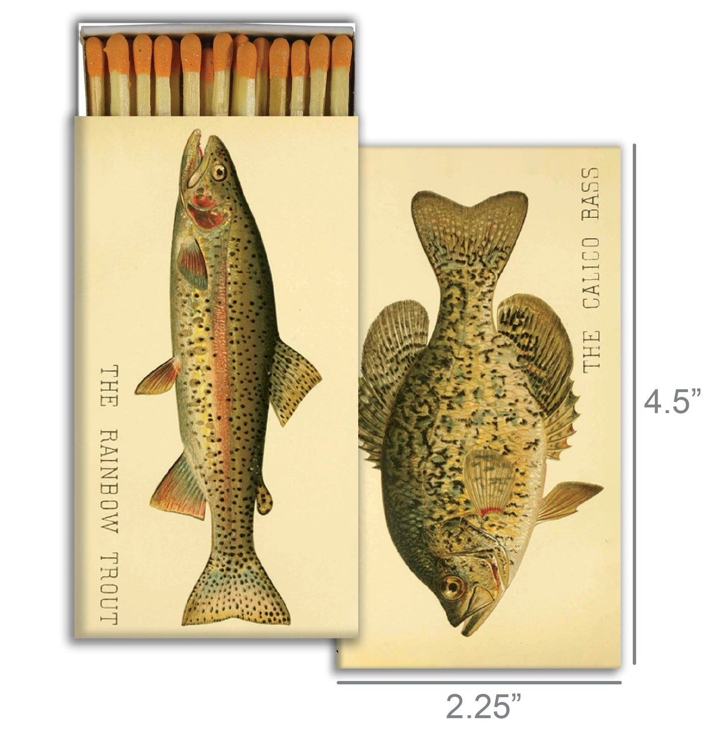 Decorative Matchbox - Lake Fish