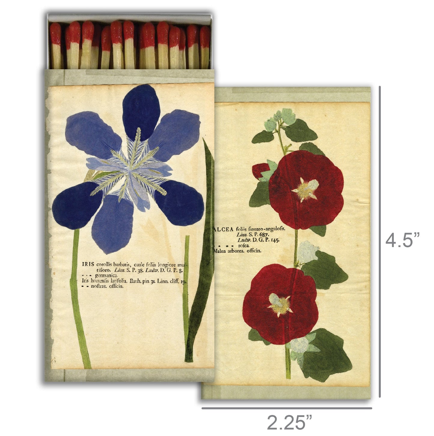 Decorative Matchbox - Iris & Hollyhock