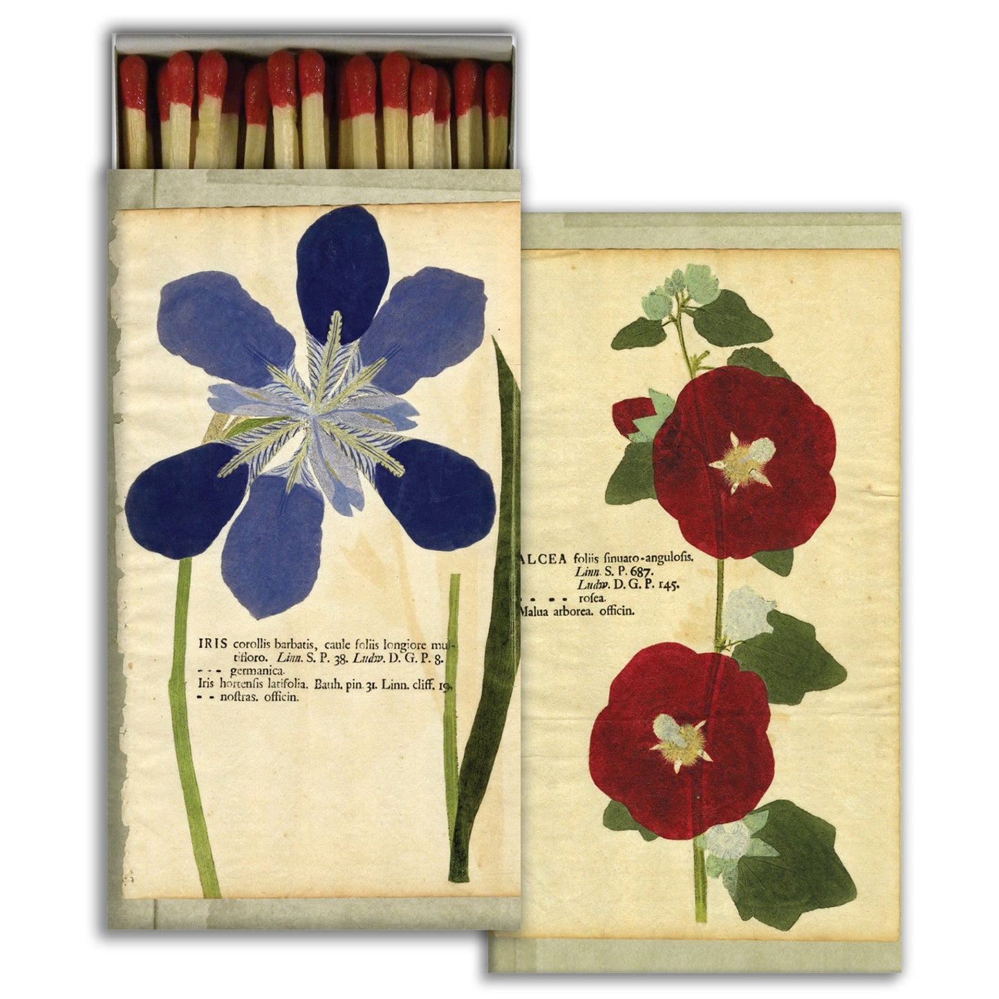 Decorative Matchbox - Iris & Hollyhock