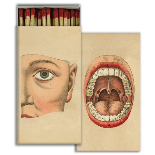 Decorative Matchbox - Strength