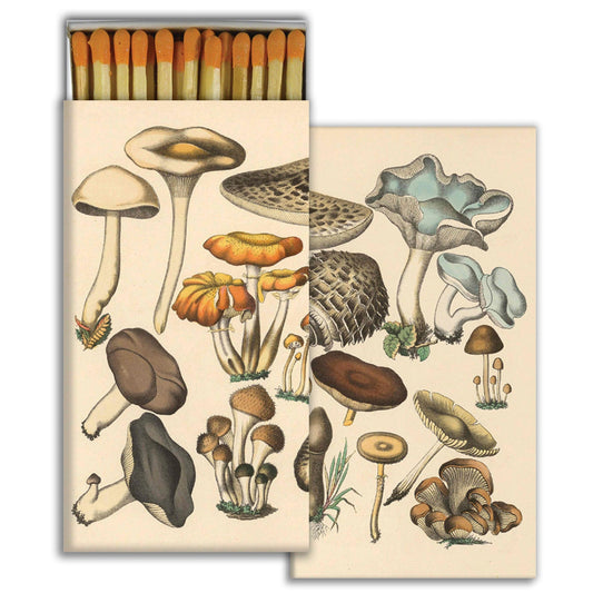 Decorative Matchbox - Foraged Mushrooms