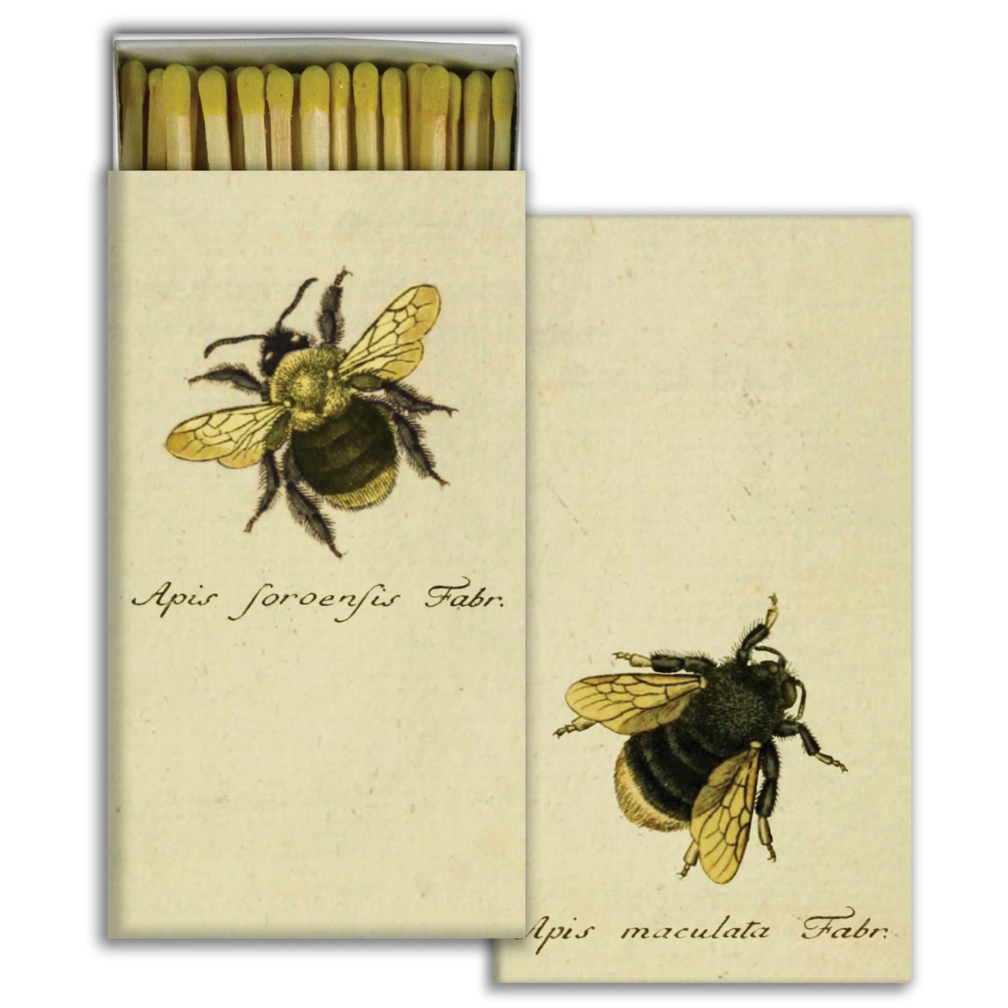 Decorative Matchbox - Bumble Bees