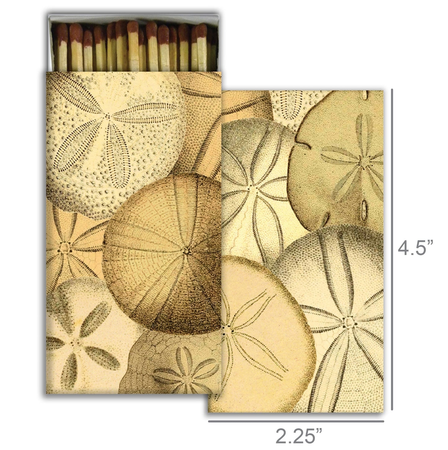 Decorative Matchbox - Sand Dollars